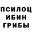 Псилоцибиновые грибы GOLDEN TEACHER Stepan Dron