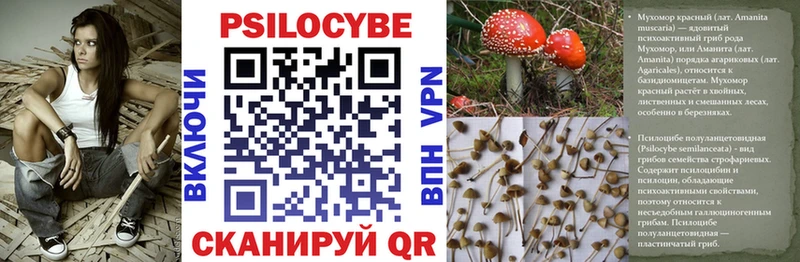 где продают наркотики  Велиж  KRAKEN маркетплейс  Галлюциногенные грибы MAGIC MUSHROOMS 